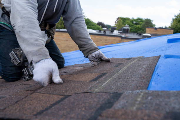 Best Roof Inspection  in Denison, TX
