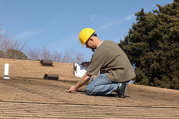 Professional Roofing services in Denison, TX